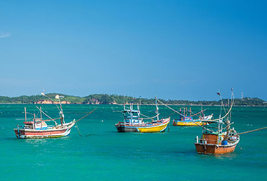several boats in the water