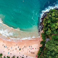 a beach with trees and water
