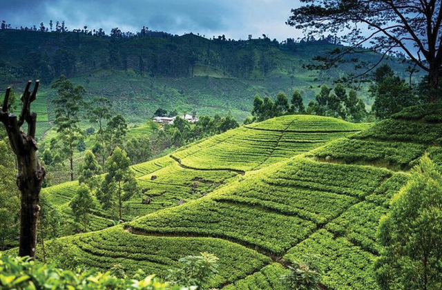 kristravelslanka
