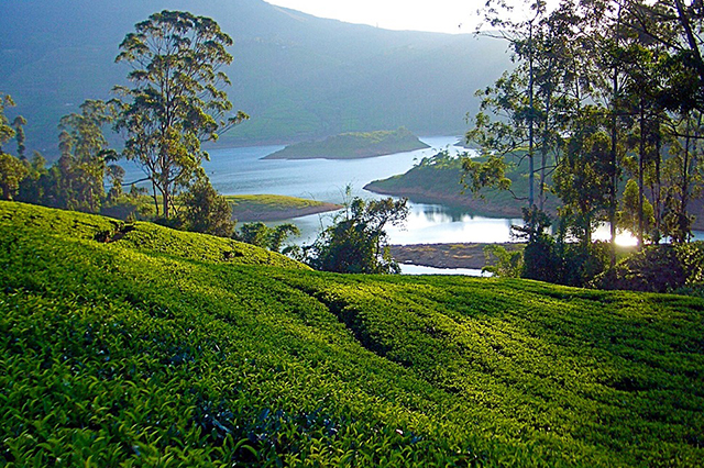 kristravelslanka